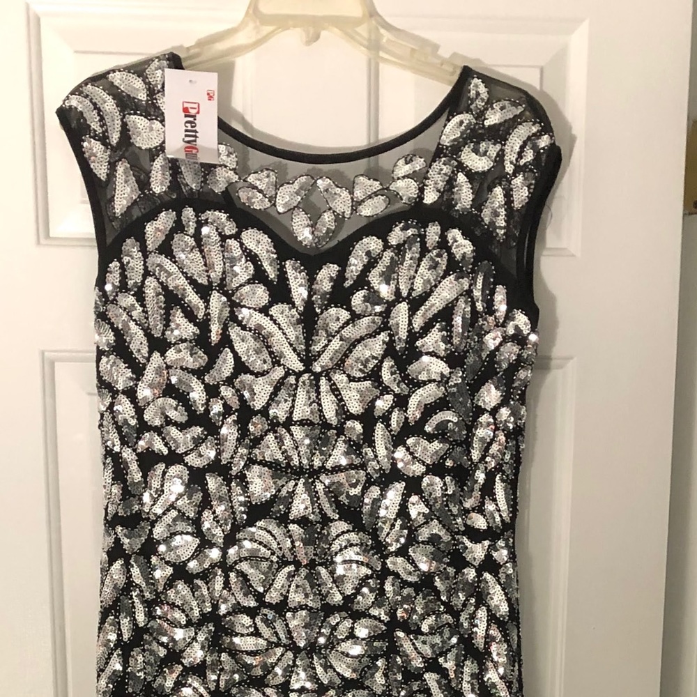 1920s style Silver dress